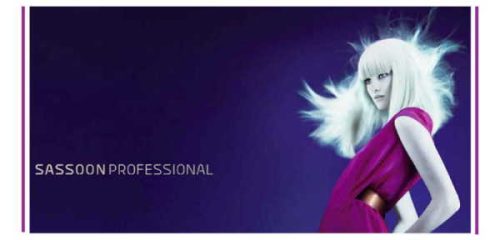 Vidal Sassoon